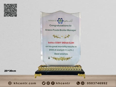 درع كريستال كبير