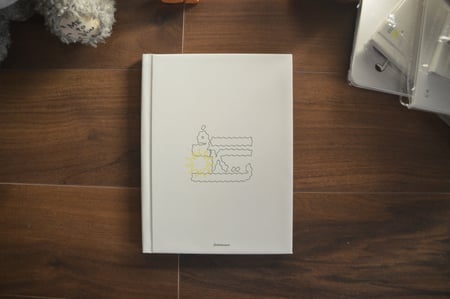 مذكرة إفلات