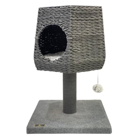 برج خداشه قطط