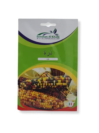 بذور ذرة حلوة ملونة للزينة 8g