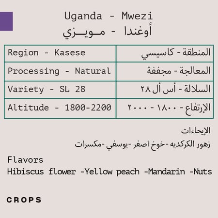 أوغندا  مويزي