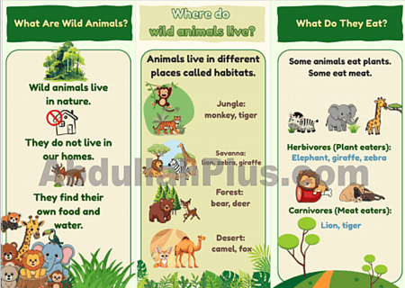 مطوية انجليزي عن الحيوانات البرية Wild Animals  (صيغة PDF جاهزة للطباعة)