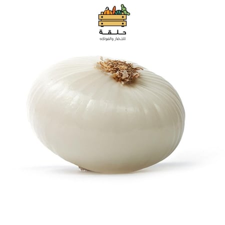 بصل ابيض/ كيلو