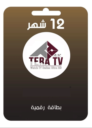 TERRA 1YR بطاقة شحن تيرا سنة + 3 شهور مجانا