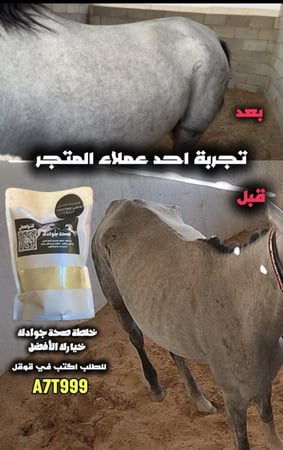 خلطة صحة جوادك