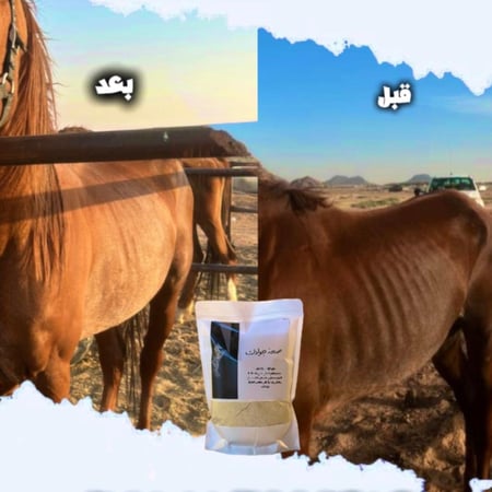 خلطة صحة جوادك