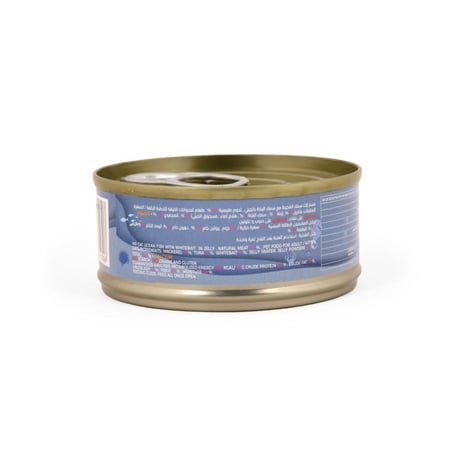 مستر كات سمك المحيط مع سمك الرنكة بالجيلي 60 جم