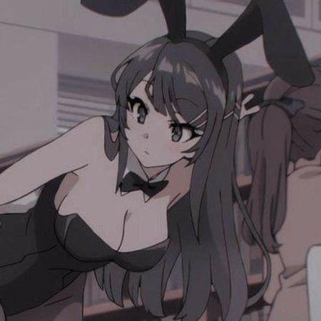 كوسبلاي ساكوراجيما ماي | bunny girl
