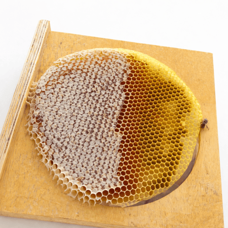 عسل شمع القرض مع السدر