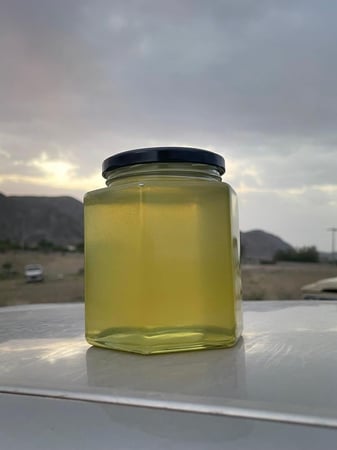عسل القتاد الجبلي غني بمضادات الأكسدة لتحسين المناعة