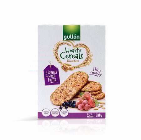 بسكويت شوفان بقطع الفواكة 240 جرام