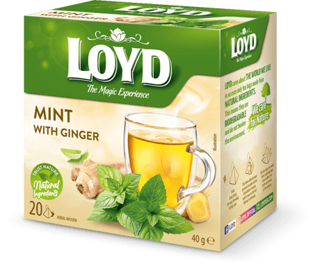 لويد شاي أعشاب النعناع والزنجبيل عبوة هرمية 20*2جرام