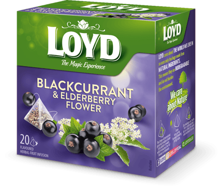 لويد شاي أعشاب الكشمش الأسود ونبات البلسان عبوة هرمية 20*2جرام