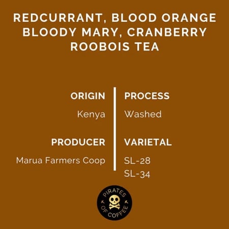 قهوة القراصنة Red Mamba كينيا مغسولة 250 جرام