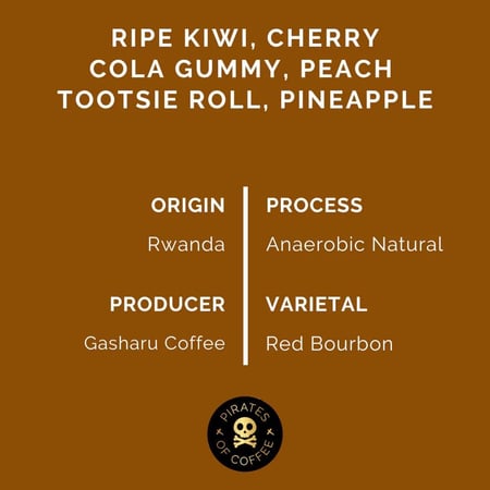 قهوة القراصنة CLOUD CANDY رواندا لاهوائية مجففة 250 جرام