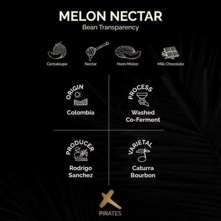 قهوة القراصنة Melon Nectar كولومبيا مغسولة مخمرة 250 جرام