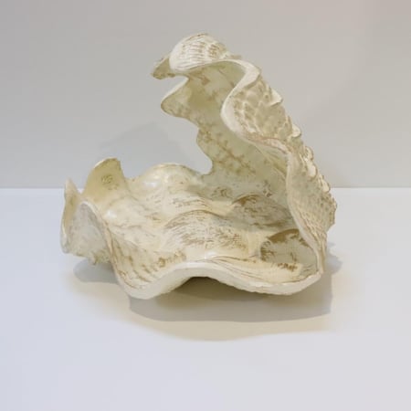 صحن ضيافه بشكل قوقعه