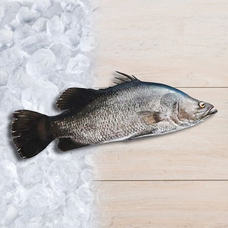 قاروص كيلو arosah