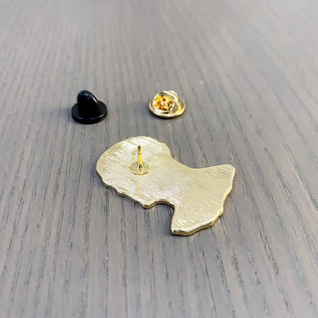 بروش ( علم التشريح )