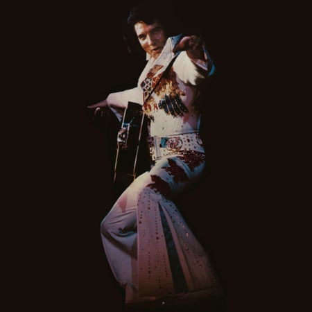 Elvis Presley - Elvis In Concert
