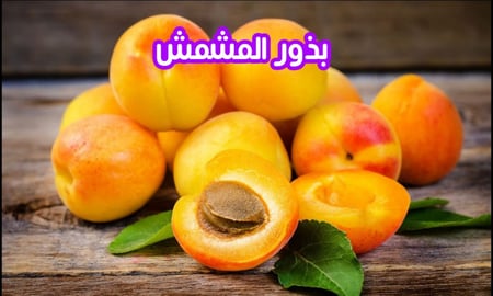 بذور المشمش (بذرتين)