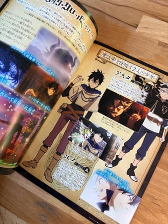 Black Clover TV Anime Guide