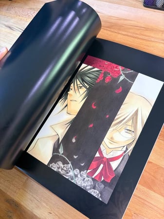 Anime Mook Illustrated book Collection of paintings by Jun MOCHIZUKI "PandoraHearts" -odds and ends -