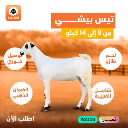 يس بيشي طازج