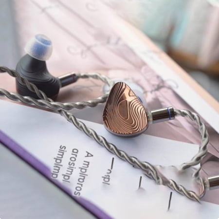 TANGZU Xuanwu Gate 10mm 1 Dynamic Driver 4 Balance Armature 2 Sonion EST IN EAR MONITORS Multi-Drive Wired Earphones Hifi IEM