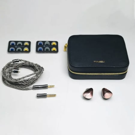 TANGZU Xuanwu Gate 10mm 1 Dynamic Driver 4 Balance Armature 2 Sonion EST IN EAR MONITORS Multi-Drive Wired Earphones Hifi IEM