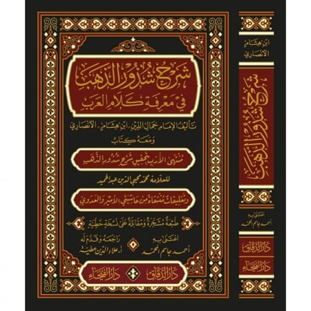 شرح شذور الذهب في معرفة كلام العرب