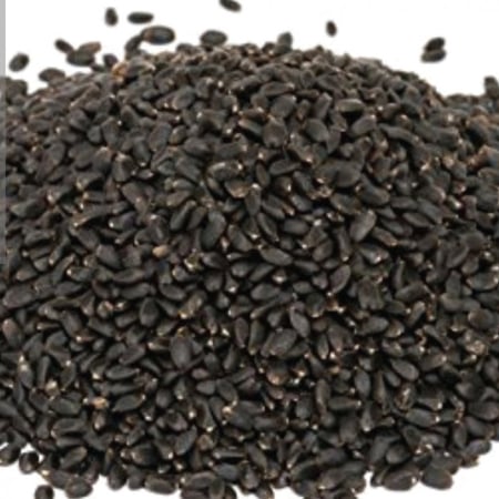 بذور شجرة الريحان Ocimum basilicum