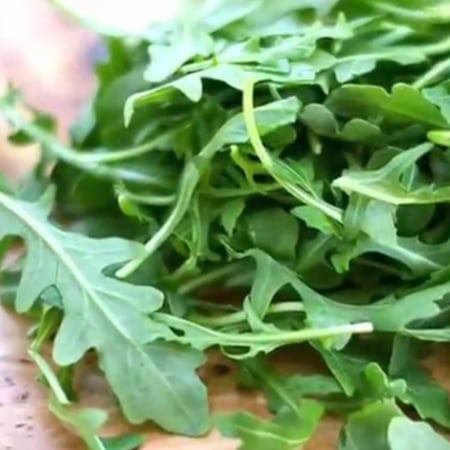 بذور شجرة الجرجيرEruca vesicaria ssp