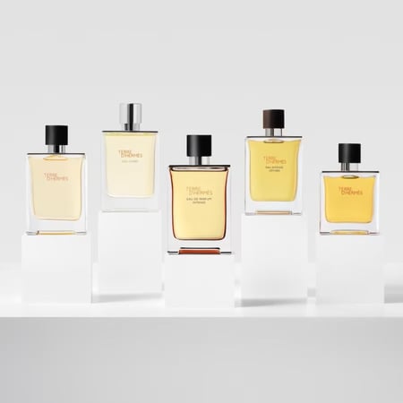 عطر هيرمس تيري دي هيرمس او دو تواليت 100 ملي