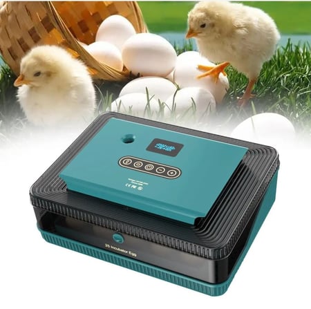 حاضنة البيض 25 بيضة للدواجن