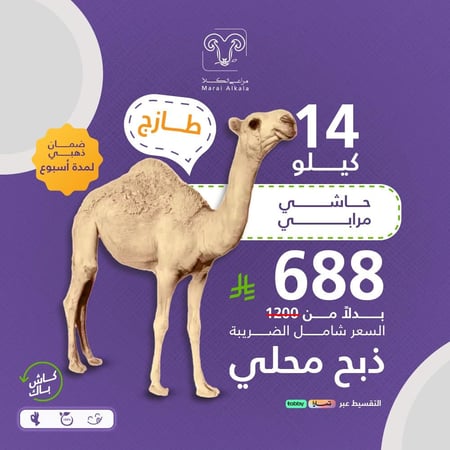 حاشي مرابي 14 كيلو