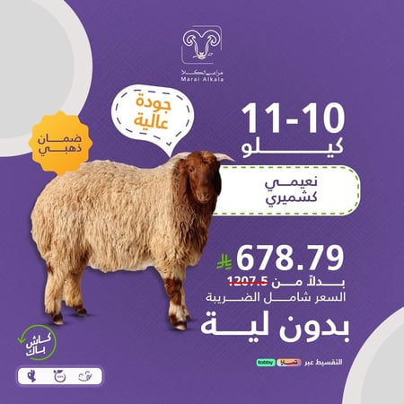 خروف نعيمي كشميري بدون لية 10-11 كيلو