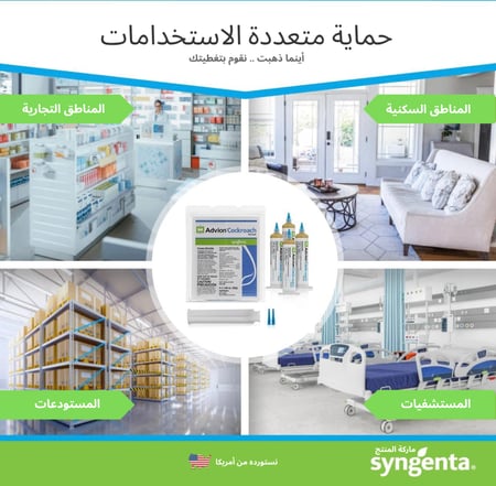 حقنه واحدة من جل الصراصير الأمريكي الأصلي