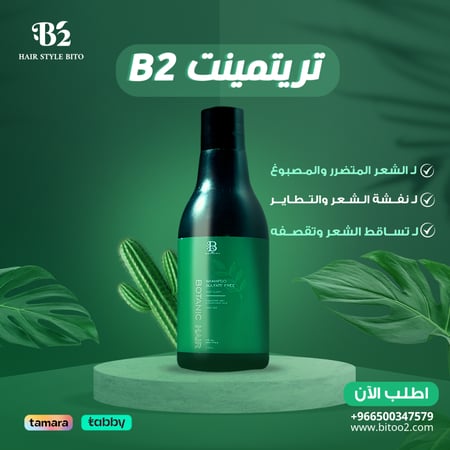 معالج ترتمينتB2