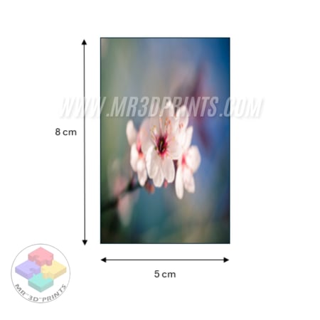 إطبع صورتك المفضلة بتقنية ثلاثية الأبعاد