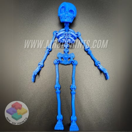 هيكل عظمي مرن