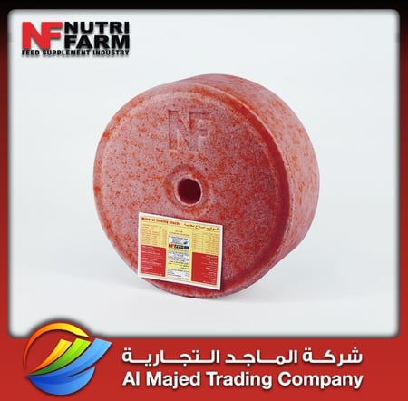 Mineral block (5 KG)