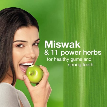 هيمالايا معجون أسنان عشبي لعناية كاملة - 100 مل