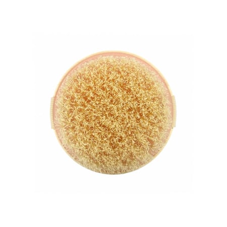 ايكوتولز فرشاة جافة دائرية