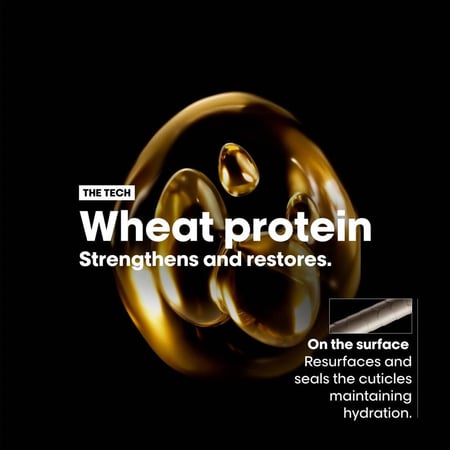 لوريال بروفيشنال شامبو أبسولوت ريبير جولد - 300 مل