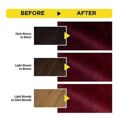 غارنييه اوليا صبغة شعر خالية من الامونيا - أحمر غامق 4.6