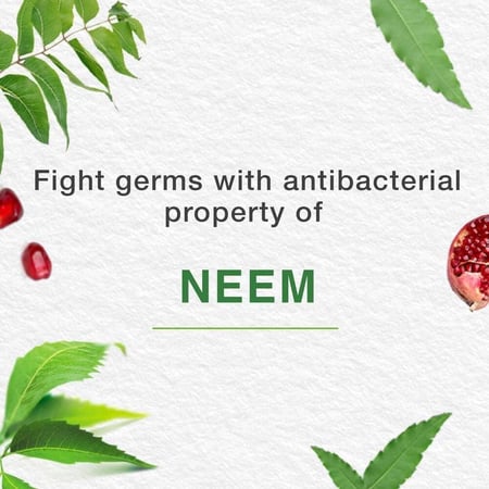 هيمالايا معجون أسنان عشبي لعناية كاملة - 100 مل