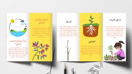 مطوية تعليمية توضح أجزاء النباتات وفوائدها