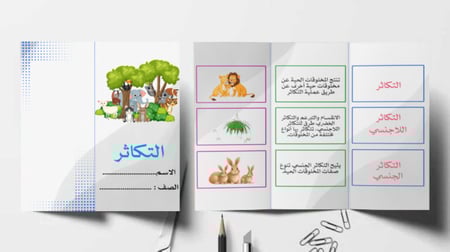 مطوية مدرسية للتكاثر بتصميم جذاب وأنيق