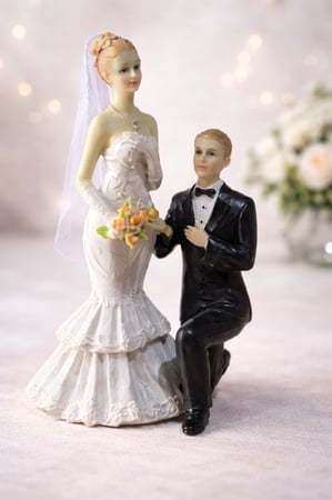 عريس وعروسة Bride And Groom
